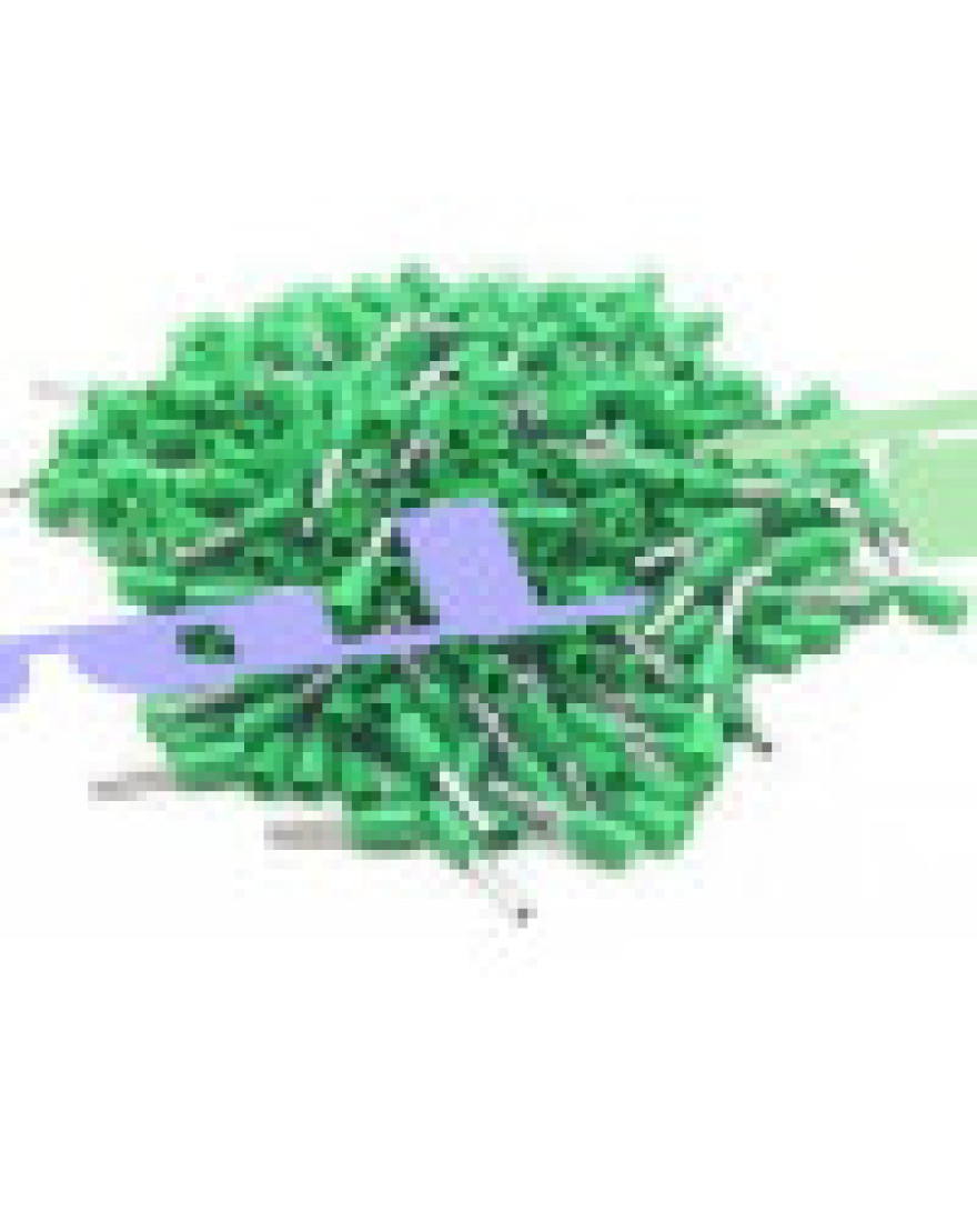 Crimp Terminal for 0.3 to 1 Sq mm Wire(Pack of 100pce)  (Green)